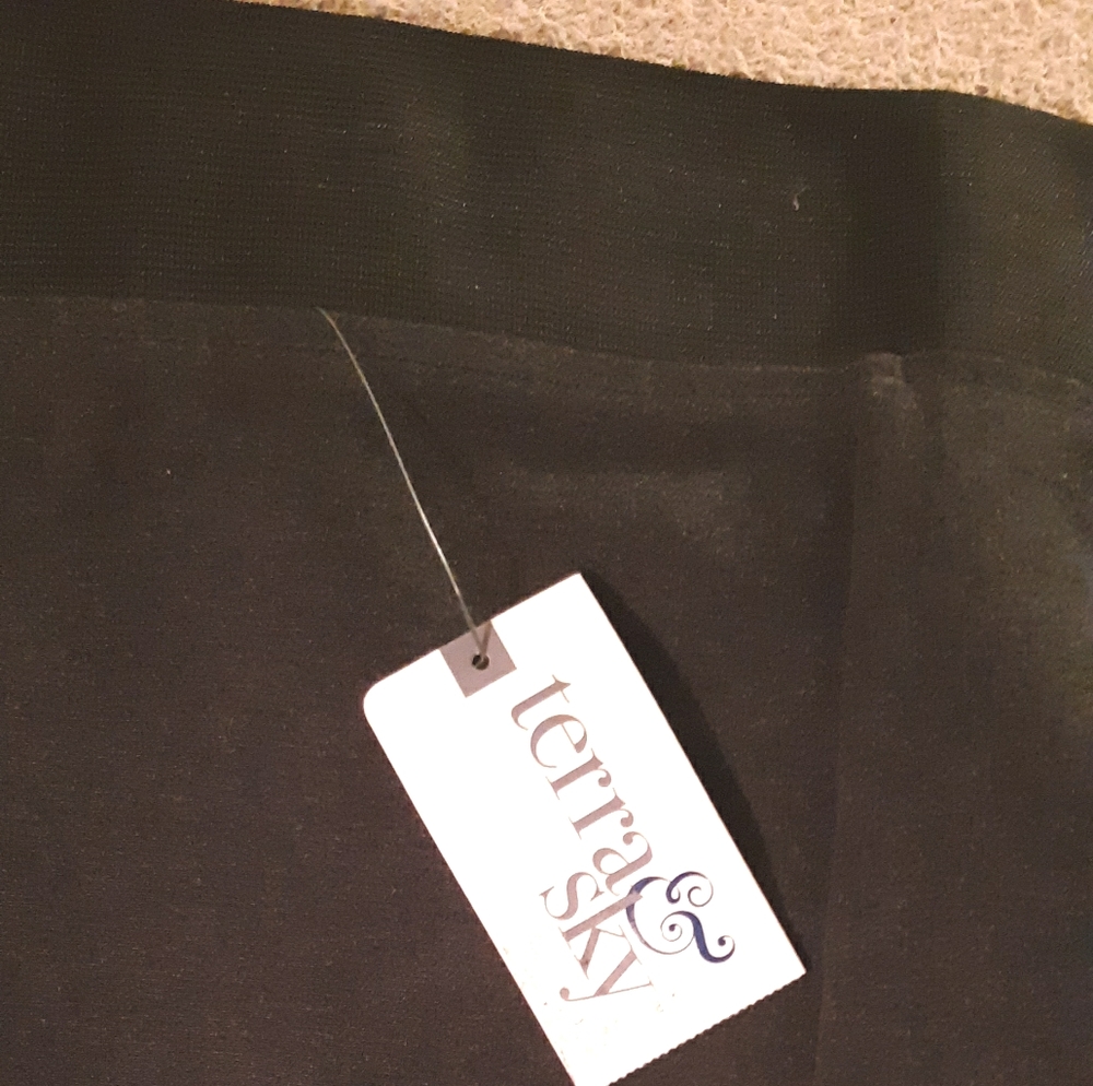 Terra & Sky Ponte Pants